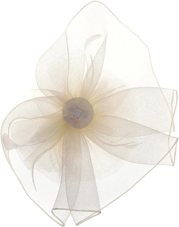 HAOZAIKEJI Women Veil Fascinators Wedding Tea Party Headpiece Organza Fascinators Hat Flower Feather Hair Clip with Headband