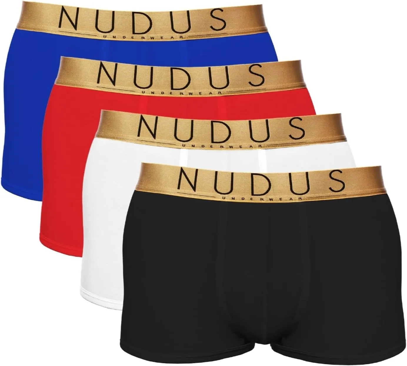 NUDUS Men's Bamboo Rayon 2 Pouches Underwear - Pack Of 4 Gift Box Briefs??