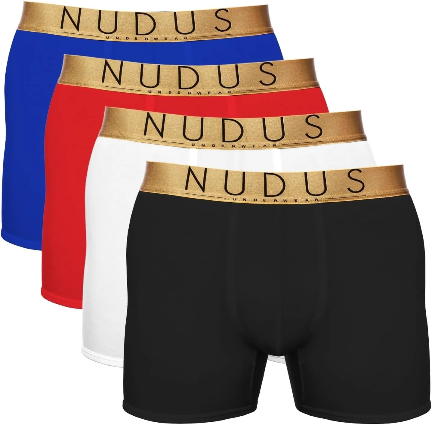 NUDUS Men's Bamboo Rayon 2 Pouches Underwear - Pack Of 4 Gift Box Briefs??